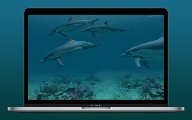 ‎Dolphins 3D Screenshot