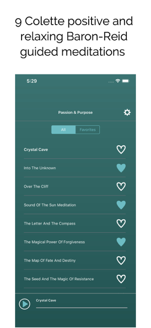 Passion & Purpose Meditations Screenshot