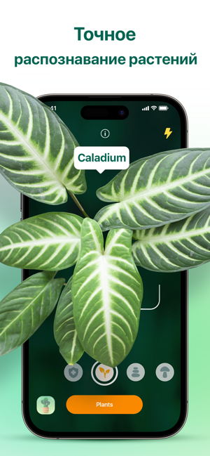 ‎Plantum - Plants Care Guide Screenshot