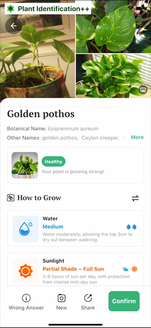 ‎Plant Identification ++ Screenshot