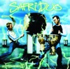 Safri duo - Played a live