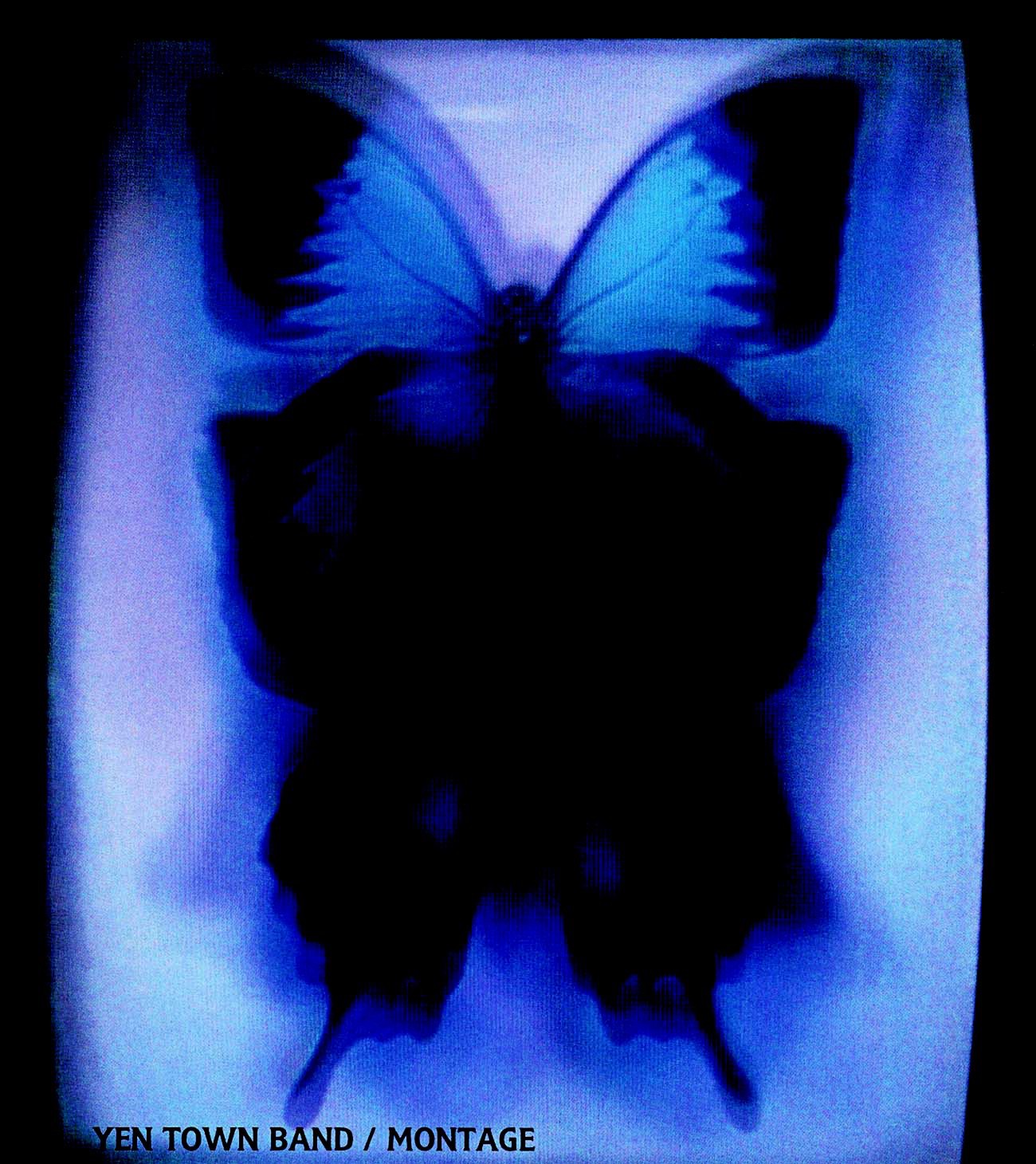 Swallowtail Butterfly ~あいのうた~