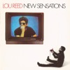 Lou Reed - What Becomes a Legend Most