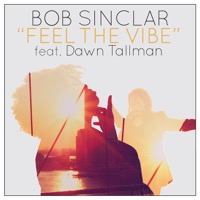 Bob Sinclar feat. Dawn Tallman - Feel the Vibe