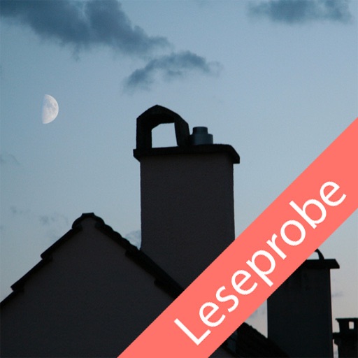 Moonlighter Leseprobe