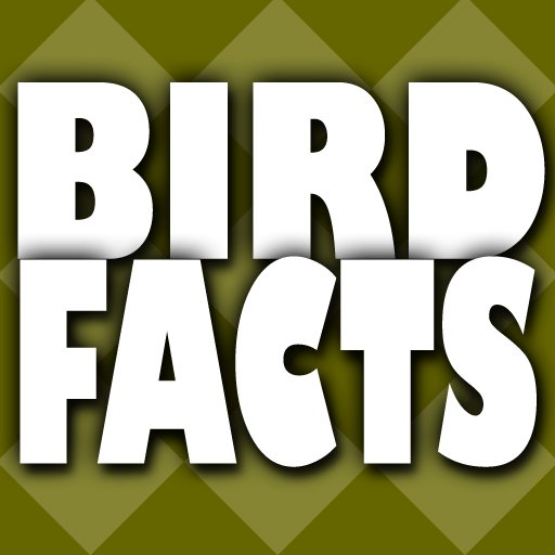 Bird Facts