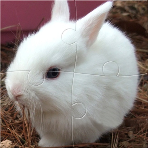 Rabbit JigsawPuzzle