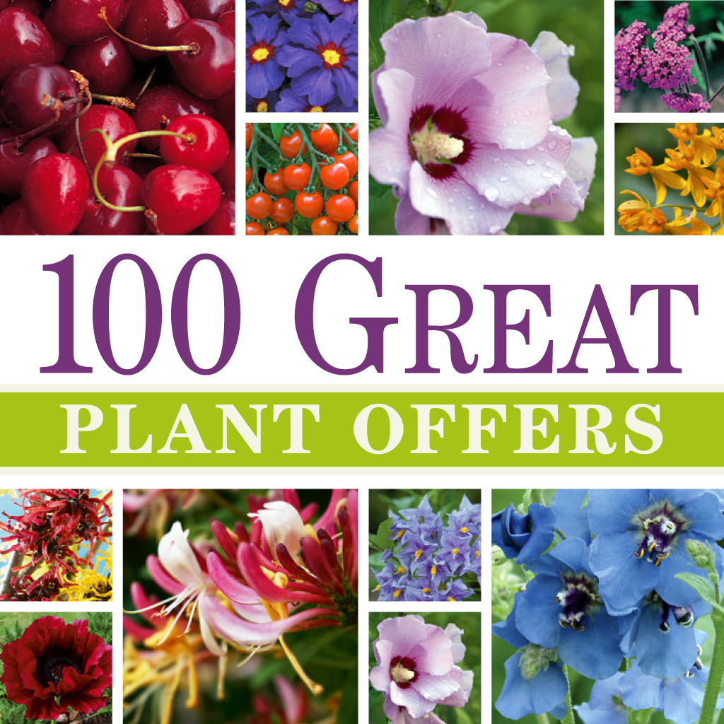 100 Great Plant Offers