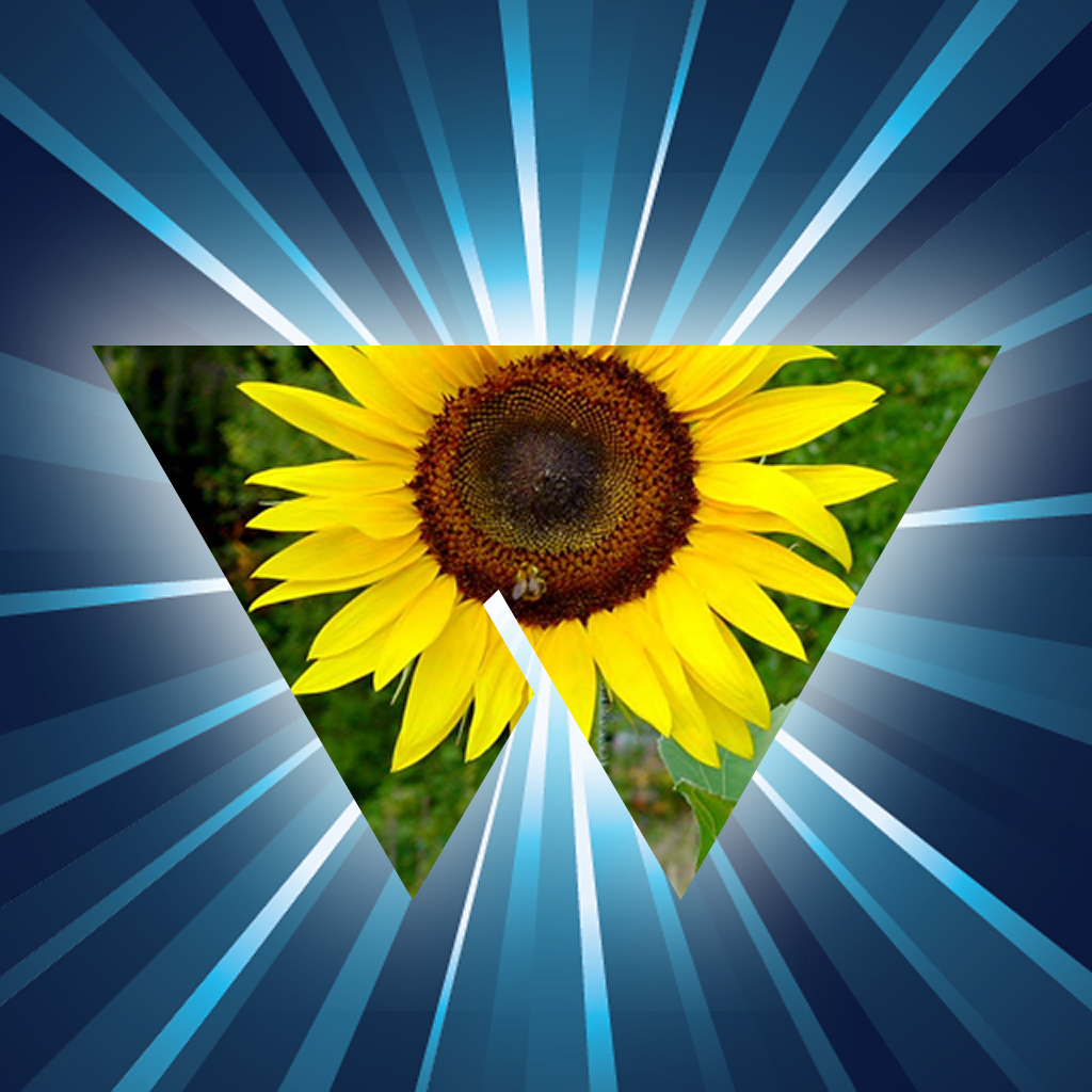 Photo in Word Pro