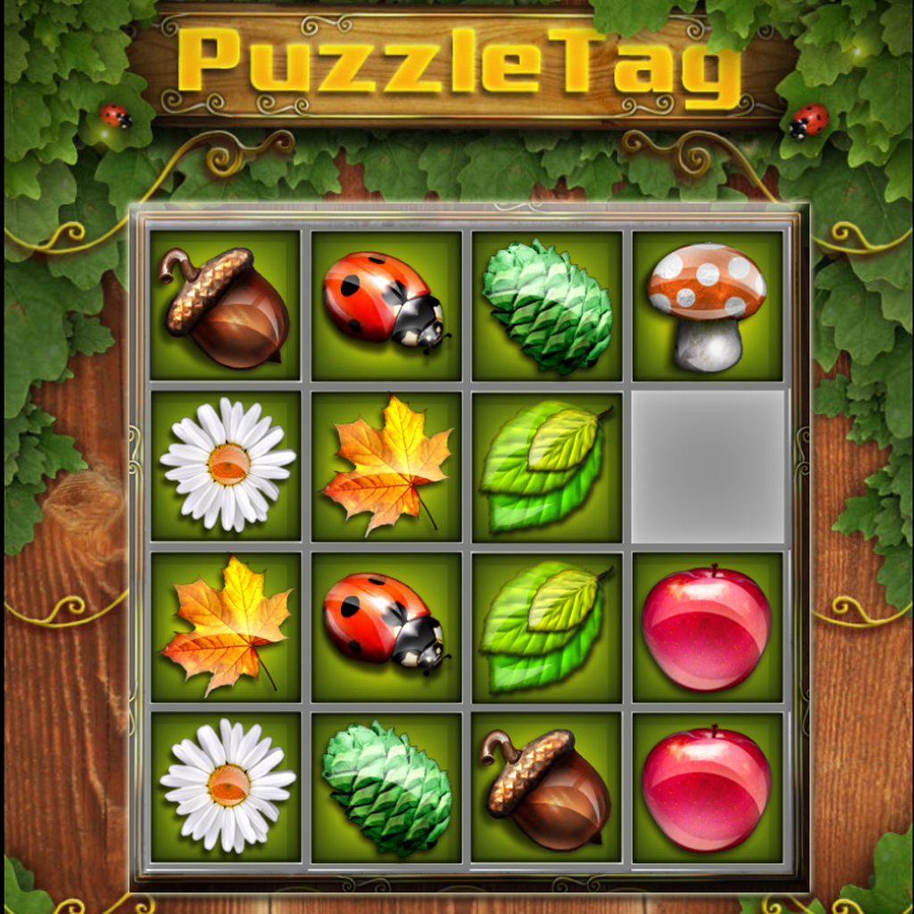 Picture Puzzle Tag icon