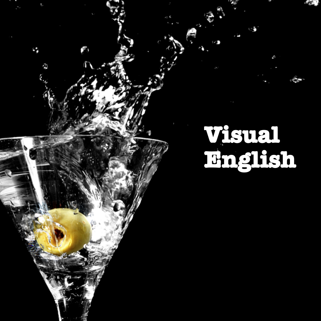 Visual English - Don't Study English! icon