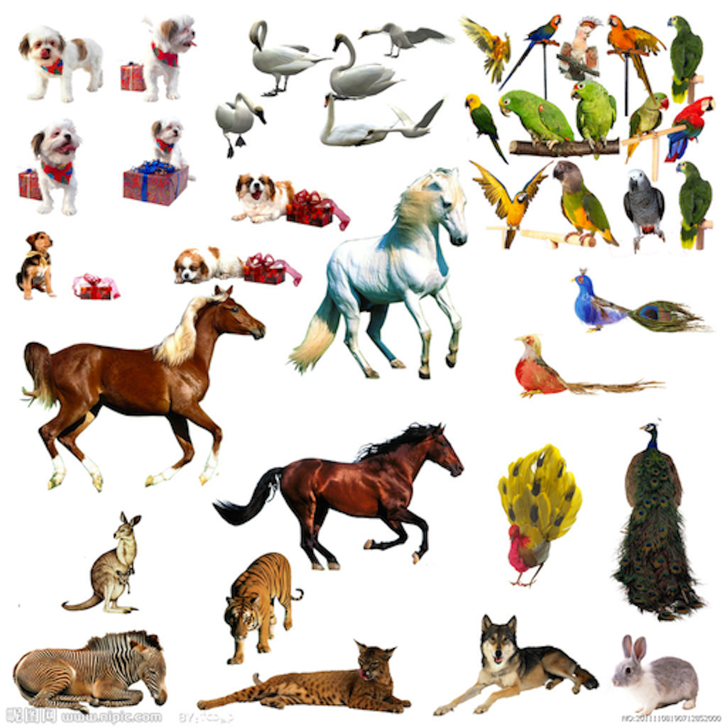 Animal Figures