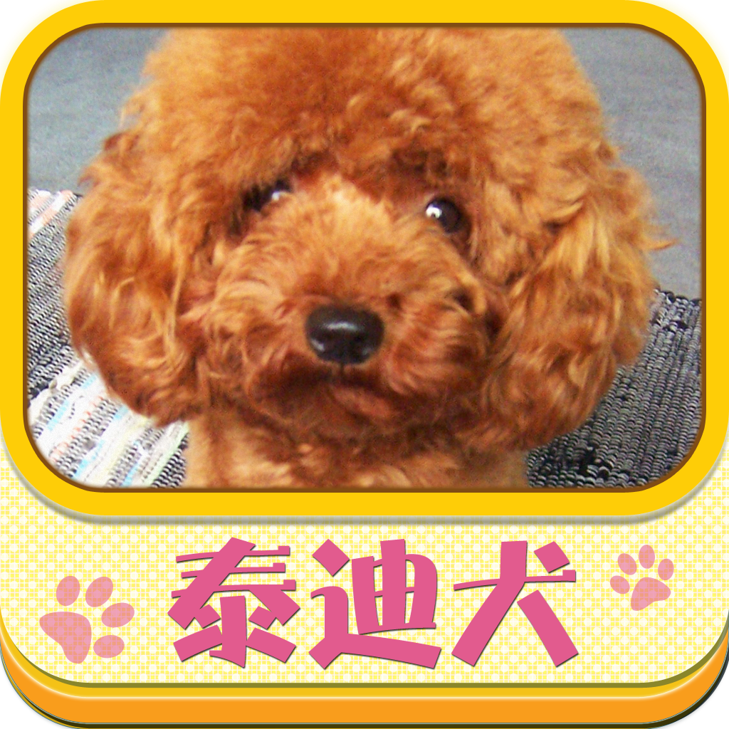 泰迪犬-纯种识别、爱犬护理、可爱训练、选购秘诀大全 icon