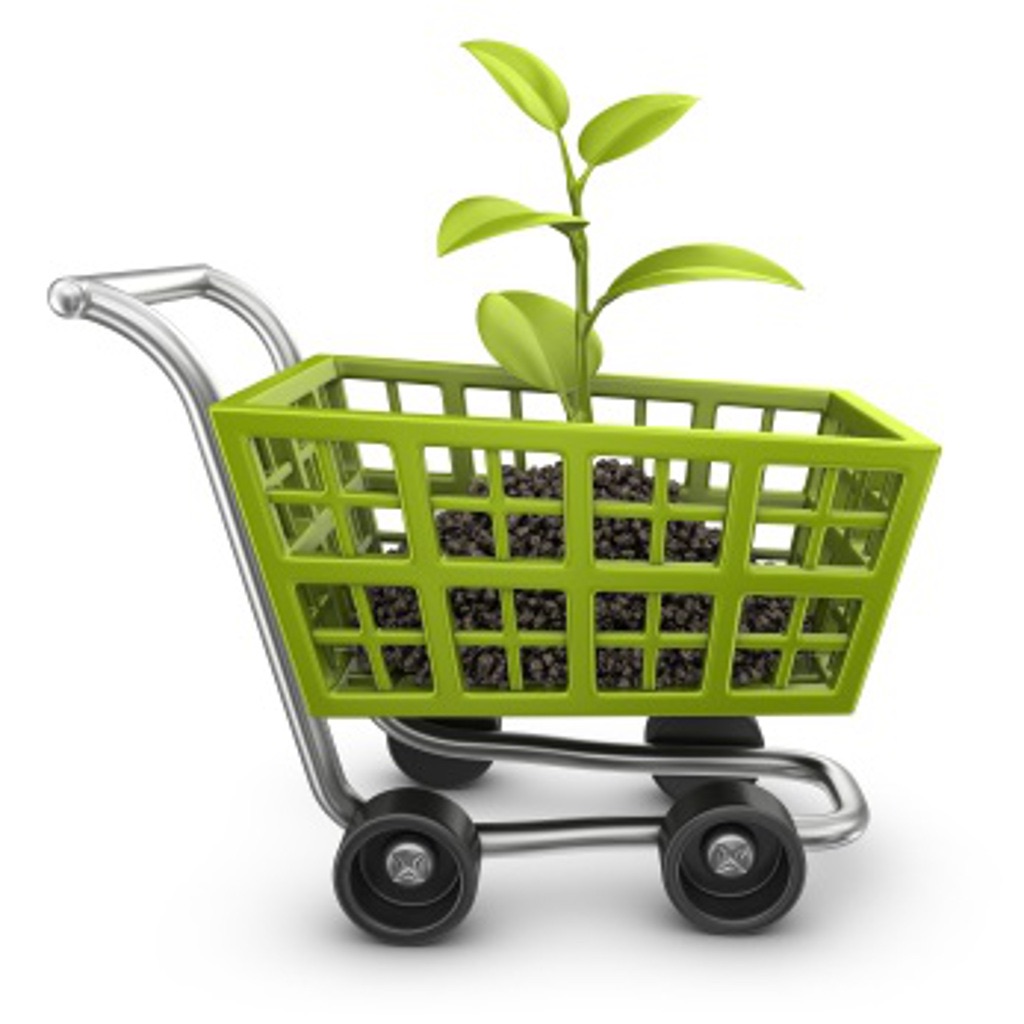 EcoShopping icon