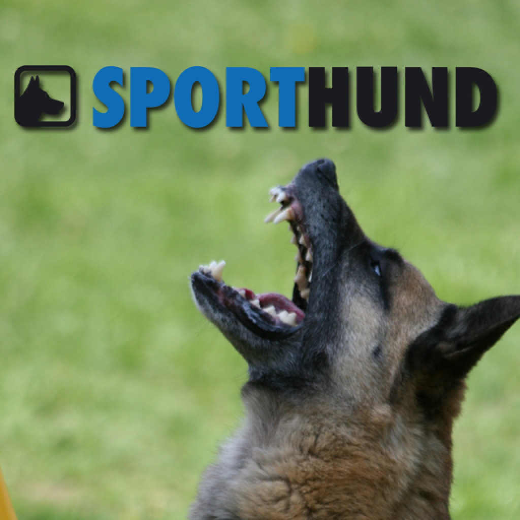 Sporthund icon