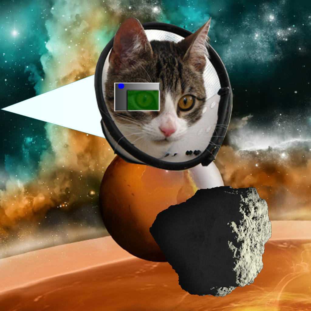 Space War Cats Cat Game icon