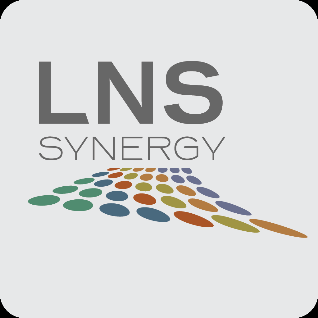 LNS Synergy