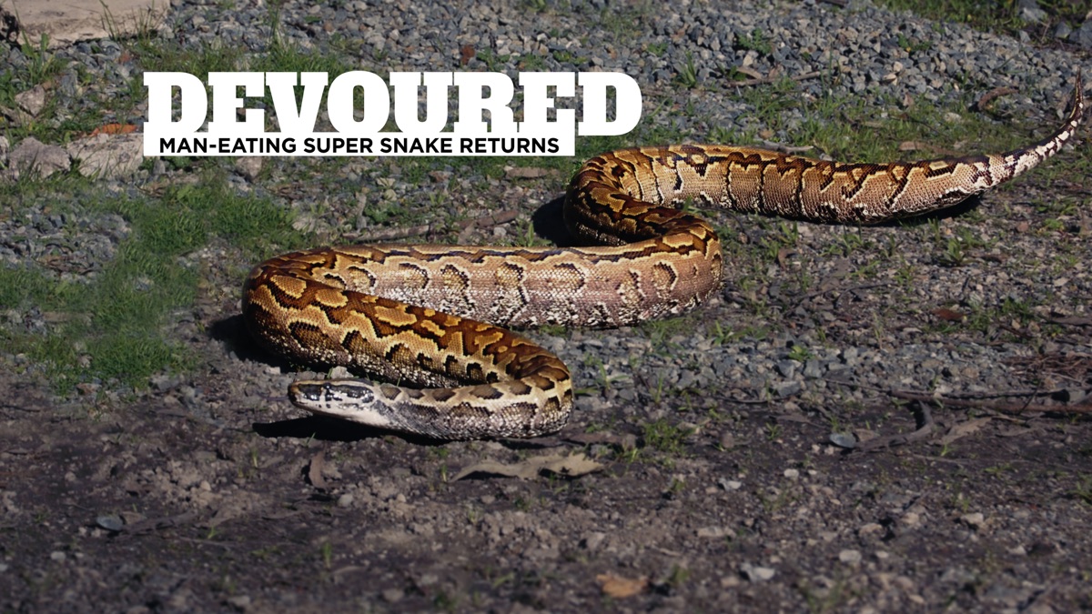 ‎Devoured: Man-Eating Super Snake Returns - Apple TV