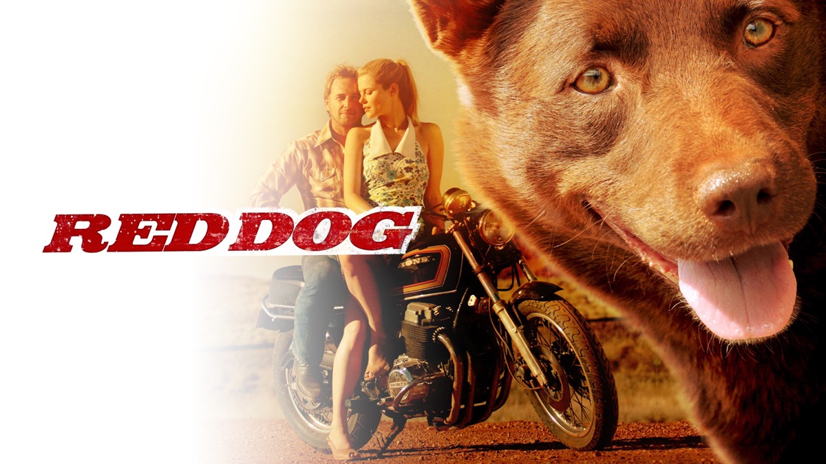 ‎Red Dog - Apple TV