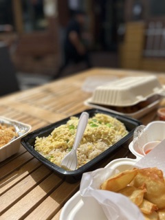 The Silver Lake House