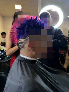 Barberia Latina Photos