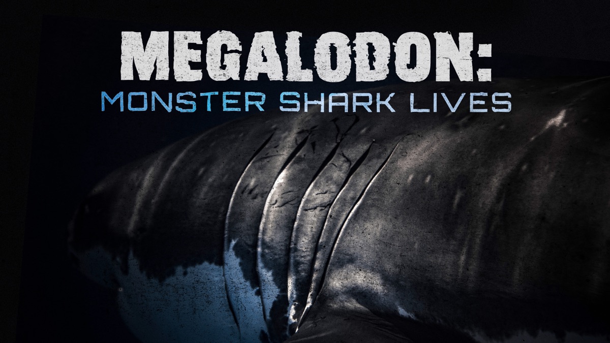 Megalodon The Monster Shark Lives Full Documentary Megalodon: The Monster Shark Lives - Megalodon: The Monster Shark Lives