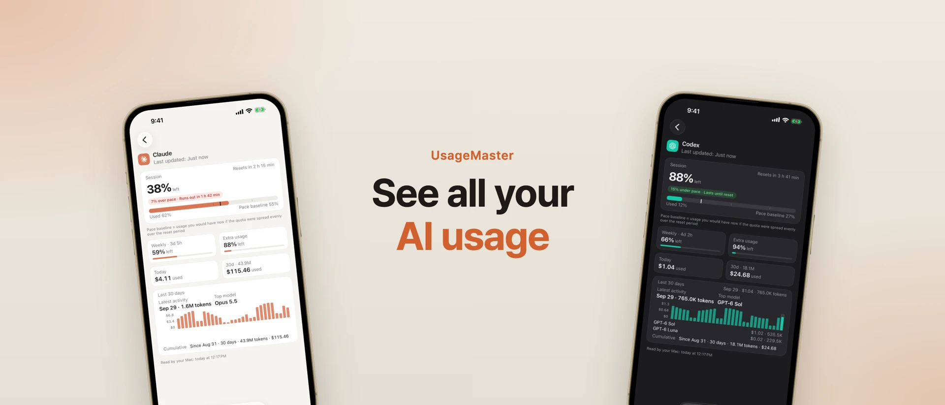 UsageMaster: AI Usage Tracker product page header