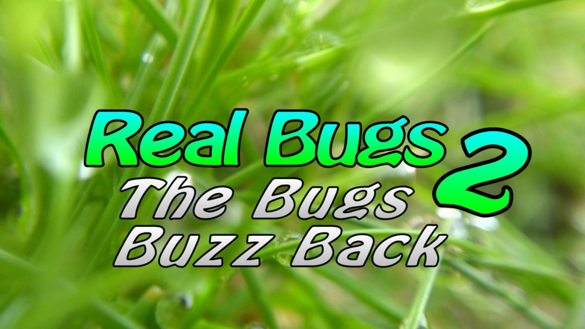 ‎Real Bugs 2: The Bugs Buzz Back - Apple TV