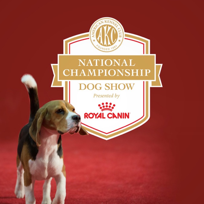 AKC National Championship presented by Royal Canin – American