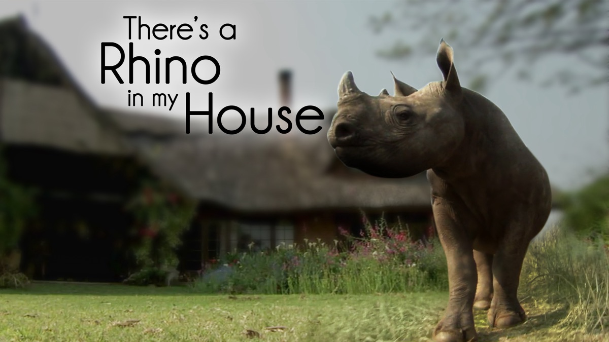 ‎There's A Rhino In My House! - Apple TV