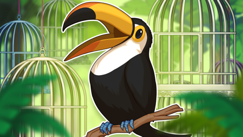 Read more about Birdsong: Forest Relaxation!