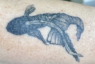 Art Ink Tattoo photo 8