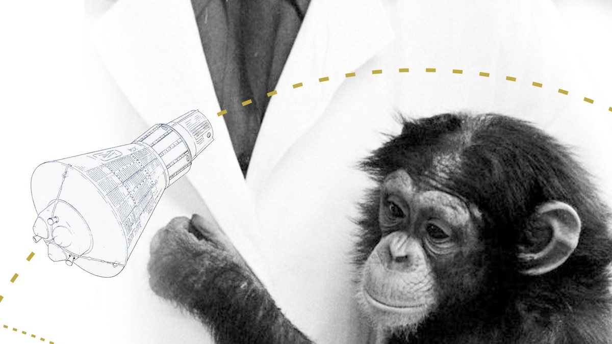 ‎Ham The First Astrochimp - Apple TV
