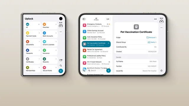 Meet Uplock for iPhone Duo