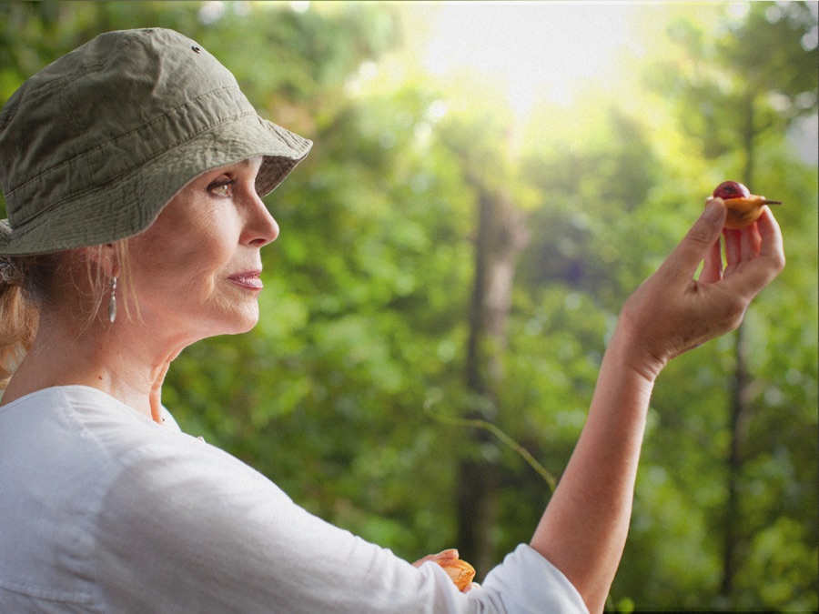 La aventura en la ruta de las especias de Joanna Lumley - Apple TV