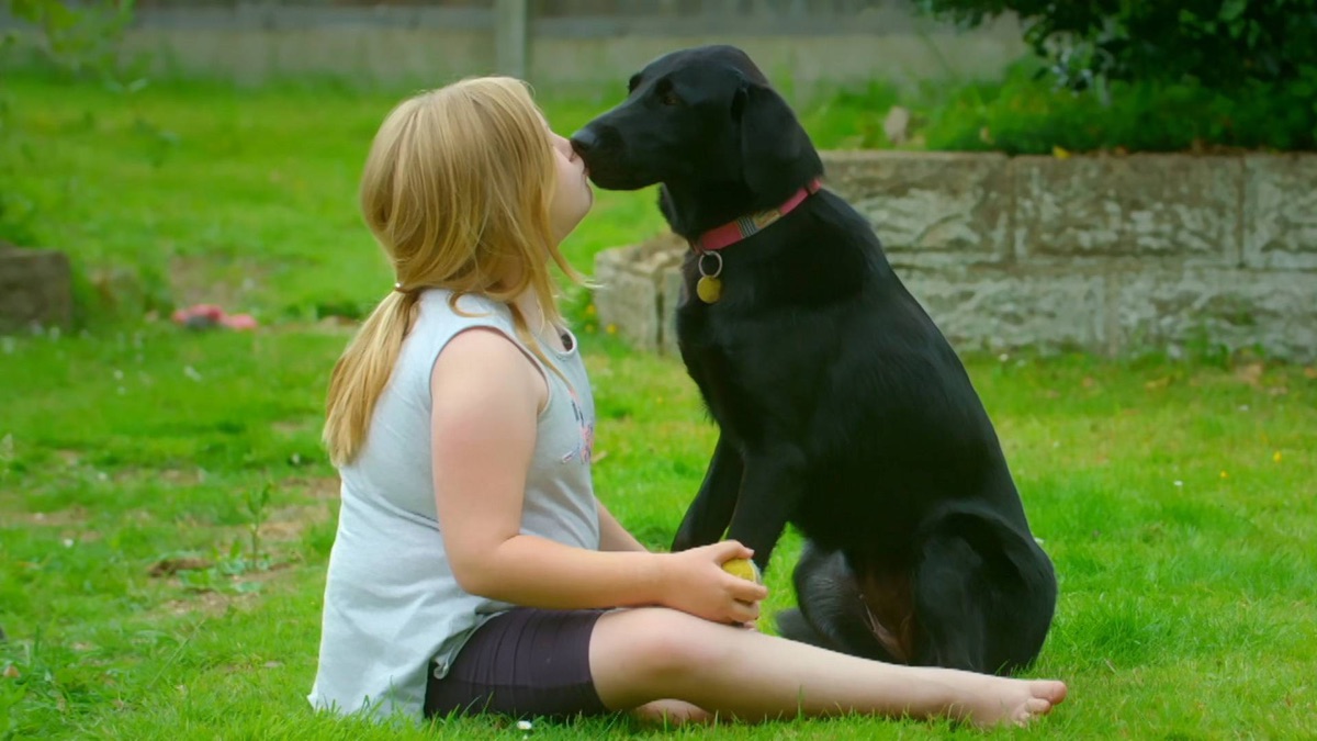 episode-4-the-dog-house-uk-series-1-episode-4-apple-tv-bg