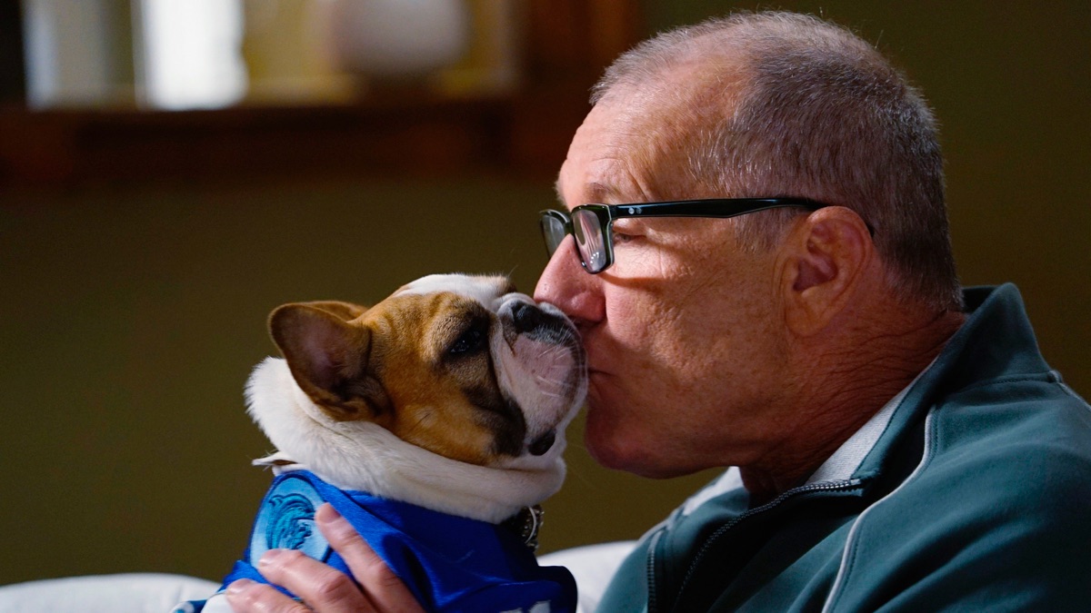 Episode 13 Modern Family (Season 6, Episode 13) Apple TV (NZ)