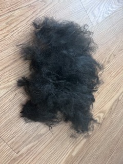 Jasmin Dominican Style