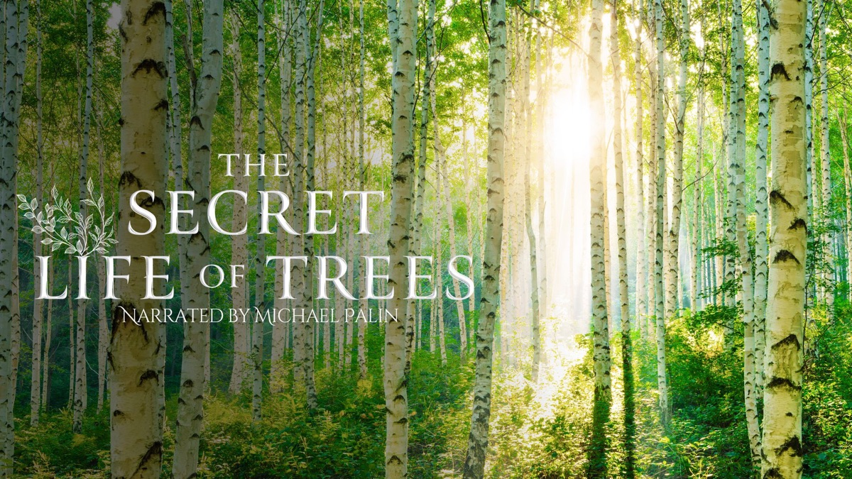 ‎The Secret Life of Trees - Apple TV