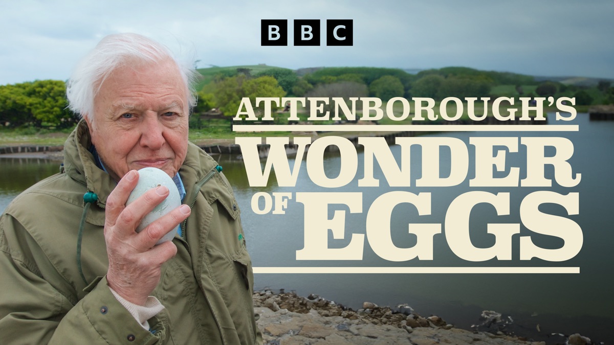 ‎The Egg: Life's Perfect Invention - Apple TV