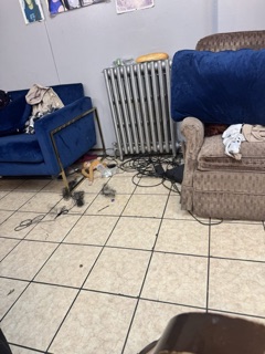 NE NE African Hair Braiding