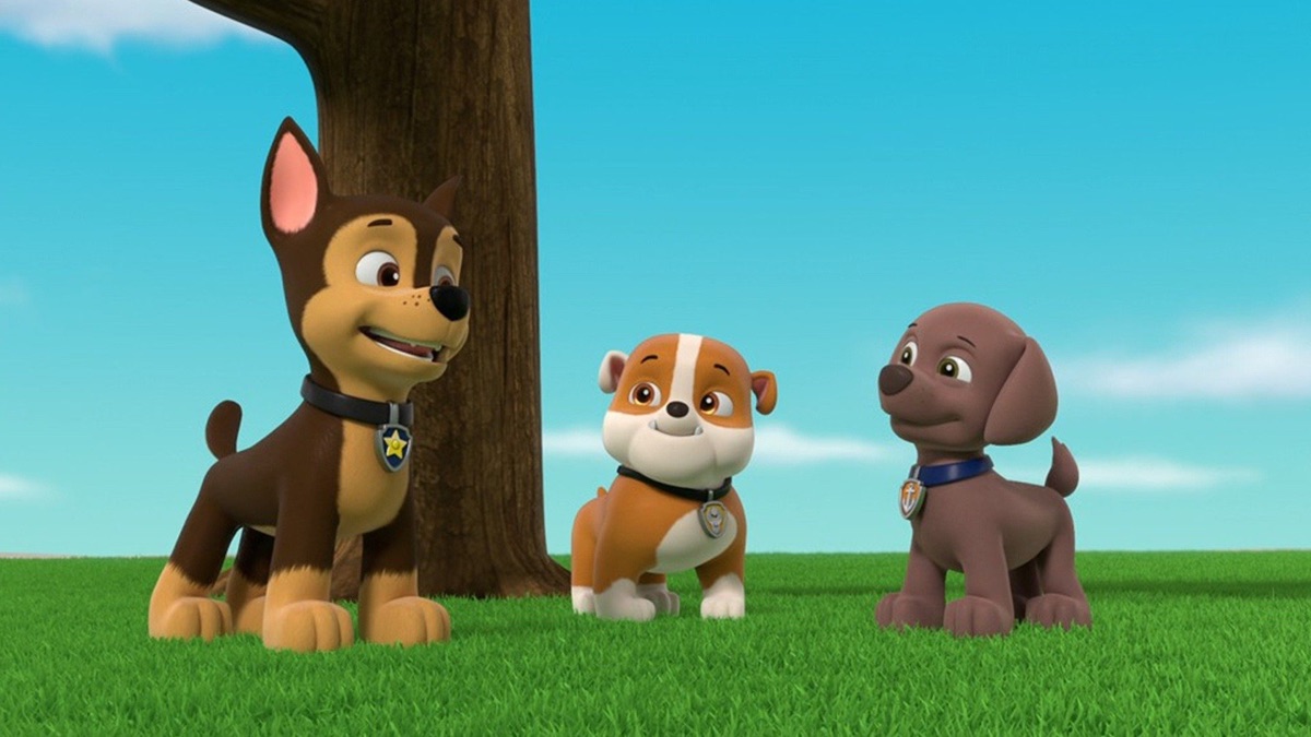 Pups Save a Rubble-Double - PAW Patrol (Series 8, Episode 105) - Apple ...
