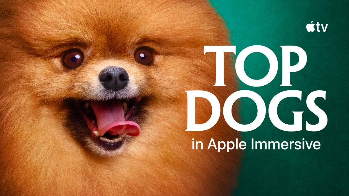 ‎Top Dogs - Apple TV