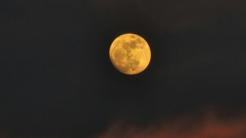 Full Buck Moon Special Event Full Buck Moon Special Event