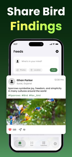Bird Identifier: Call & Sound screenshot 5
