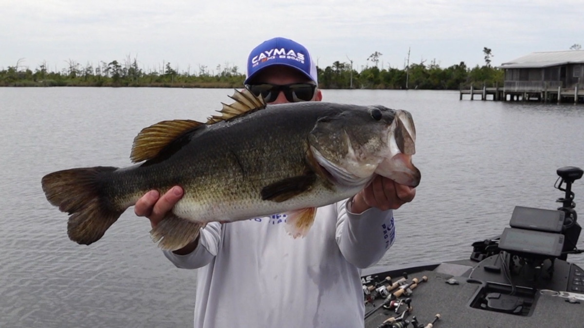‎Springtime Fishing with Earl Bentz – Catching Bass with Dustin Wilks ...