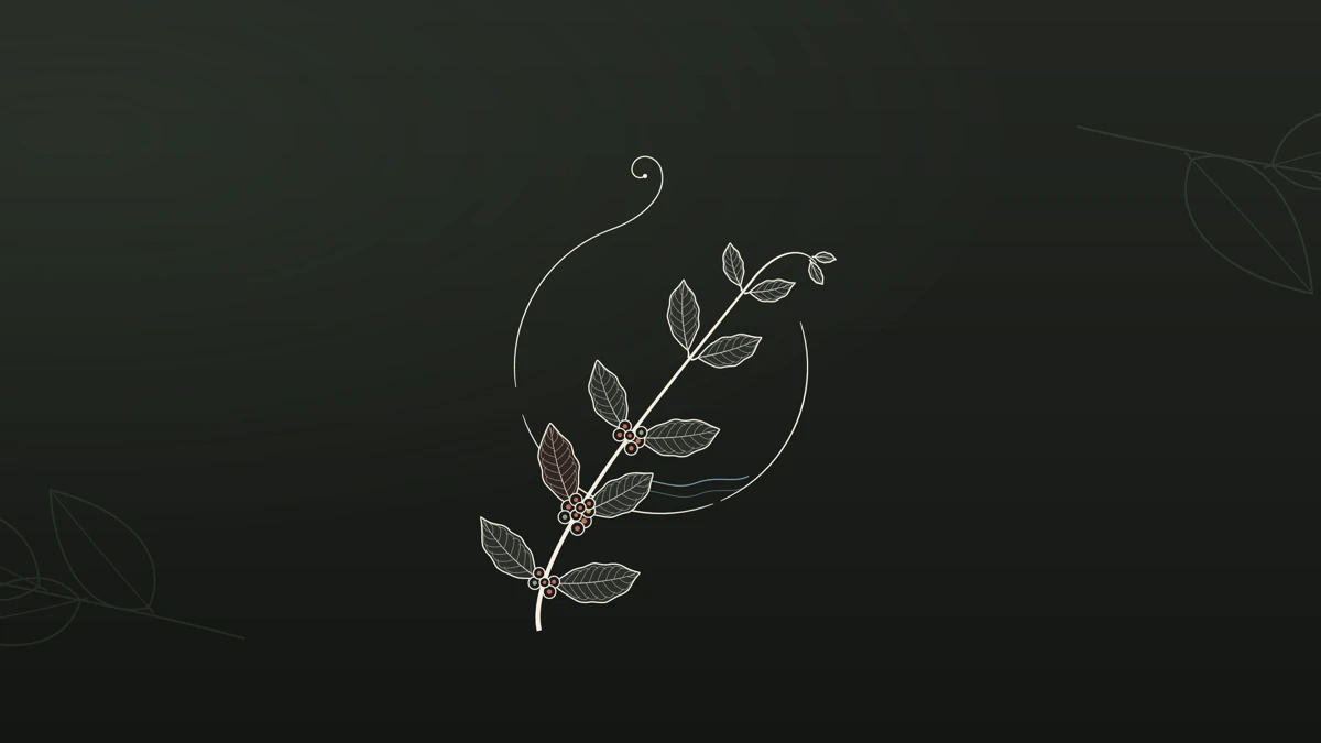 AKIMAME App Store product page header