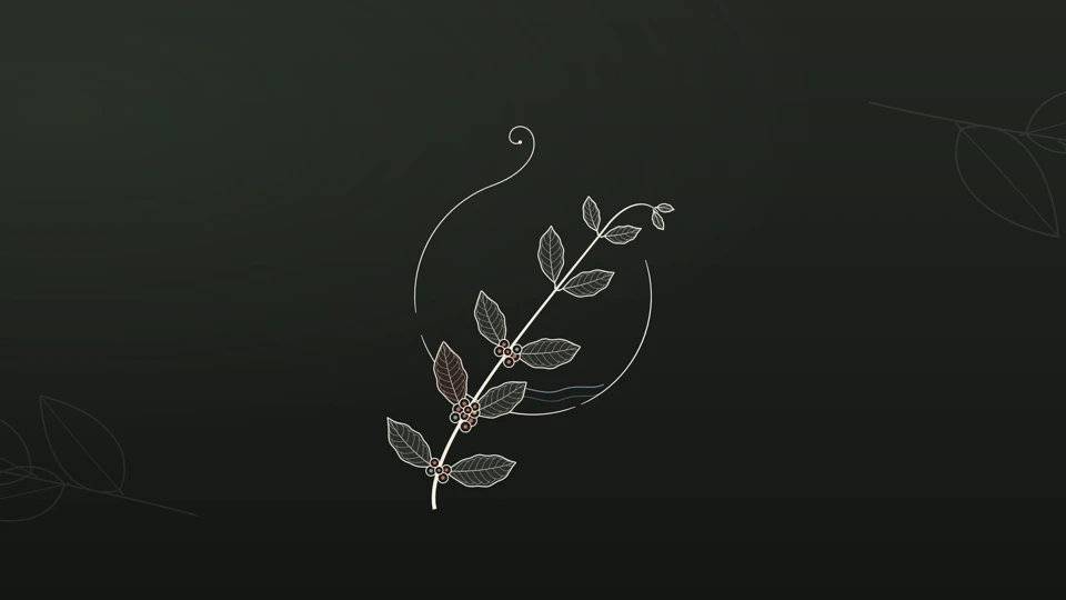 AKIMAME App Store product page header