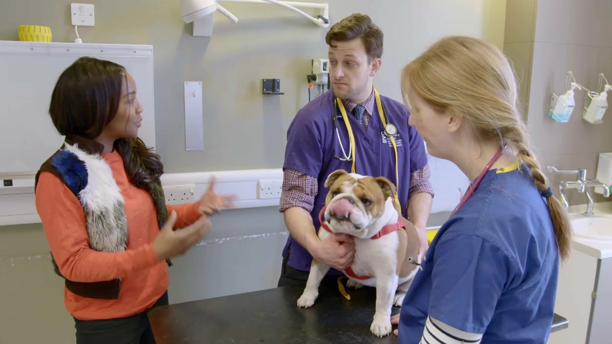 ‎The Dog Rescuers – Dog Rescuers (Season 5, Episode 17) - Apple TV (CA)