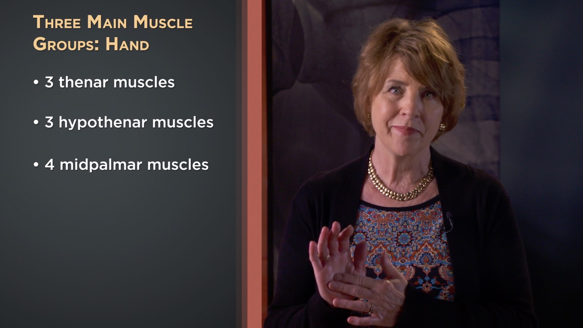‎The Hand and How It Works - How We Move: The Gross Anatomy of Motion ...